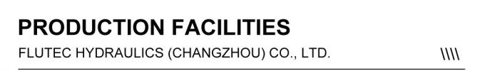 Flutec Custom Hydraulic Cylinders High Precision Hydraulic Parts For Steel Project 2