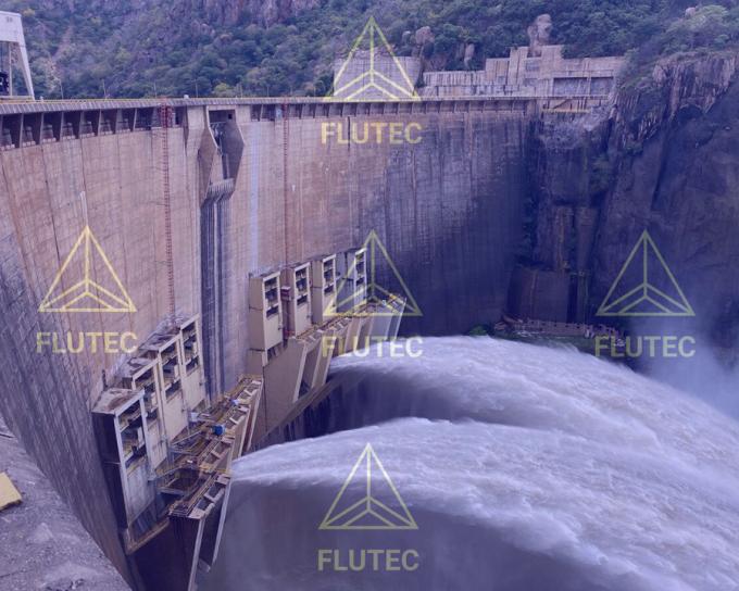 Custom Hoist Hydraulic Cylinders  For Hydropower Plant Water Dam Gate 1