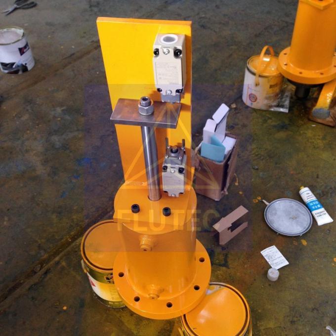 Tailer-Made Hydraulic Cylinder For Dam Gate SGS Certified 5