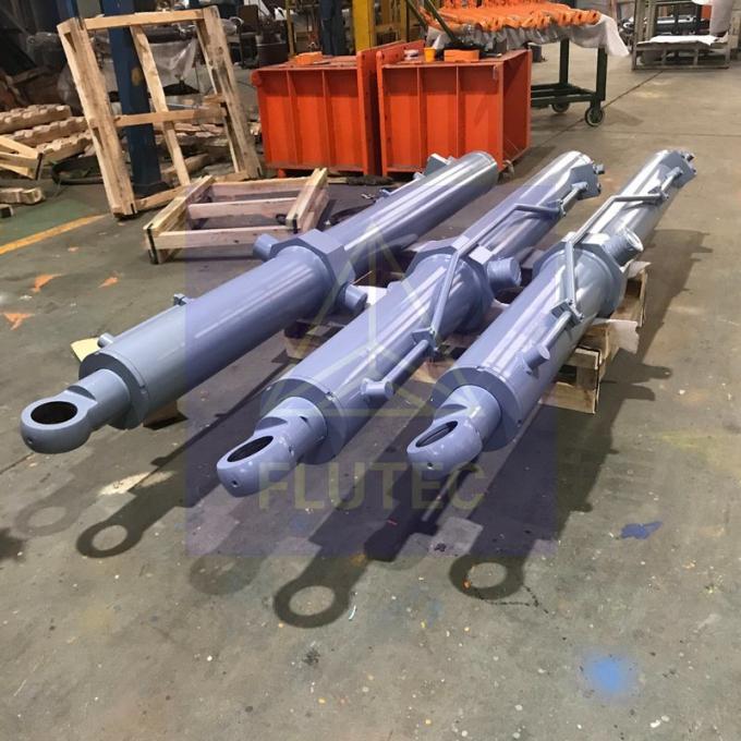 Custom Double Acting Hydraulic Cylinder for Construction Machine 0