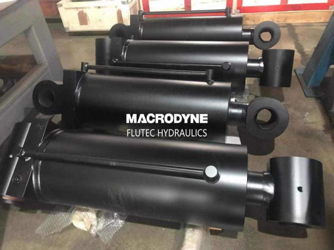                  China Hot Sale ISO 6022 Standard Hydraulic Cylinders for Ship Crane              0