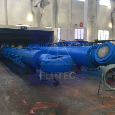 Customized Marine Hydraulic Cylinder