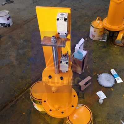 Tailer-Made Hydraulic Cylinder For Dam Gate SGS Certified